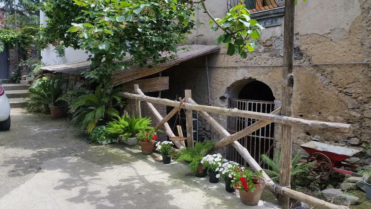 Casa Carolina B&B Sorrente Extérieur photo