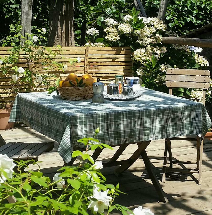 Casa Carolina B&B Sorrente Extérieur photo