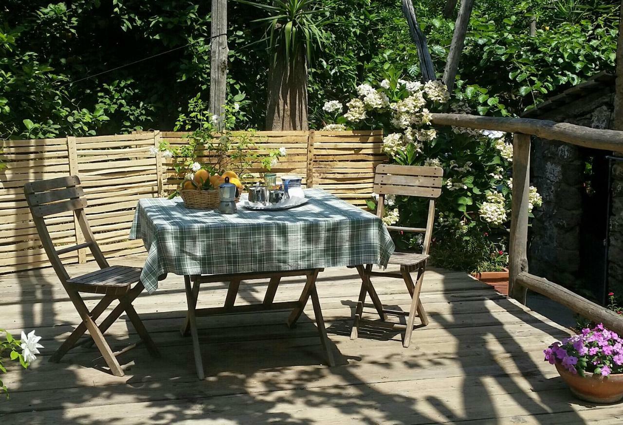 Casa Carolina B&B Sorrente Extérieur photo