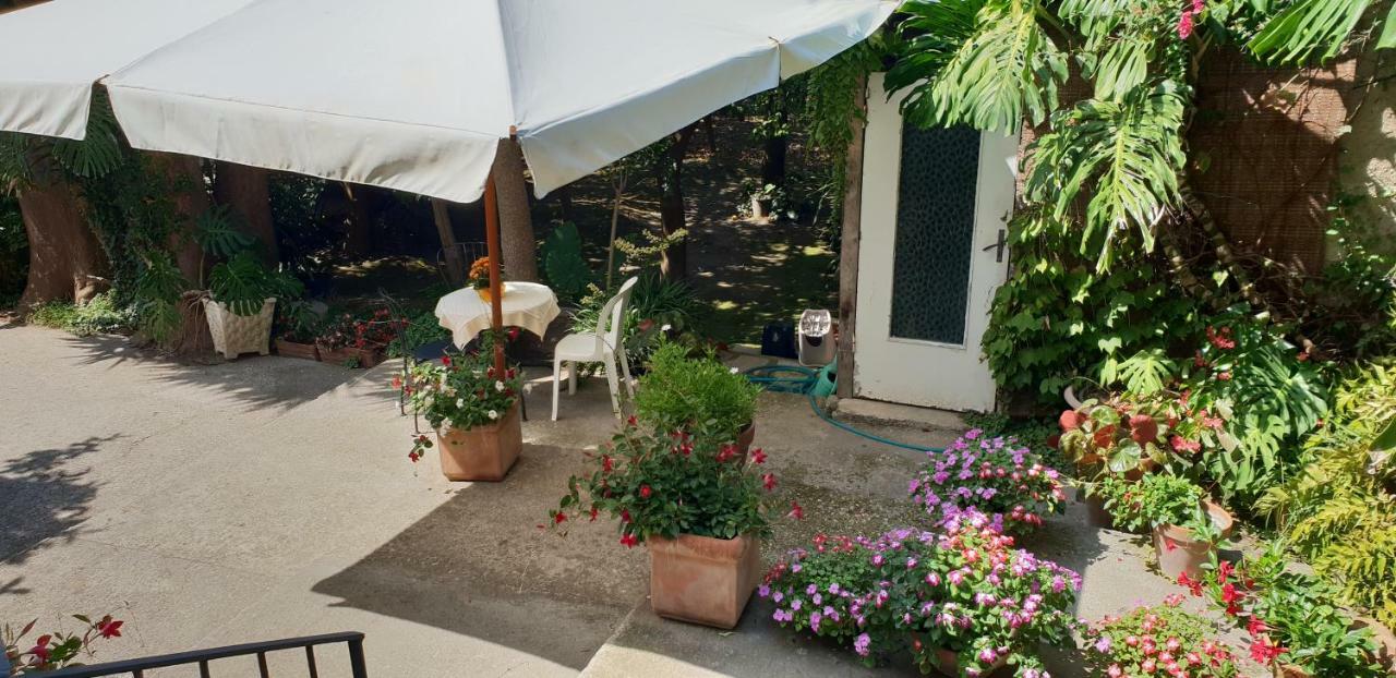 Casa Carolina B&B Sorrente Extérieur photo