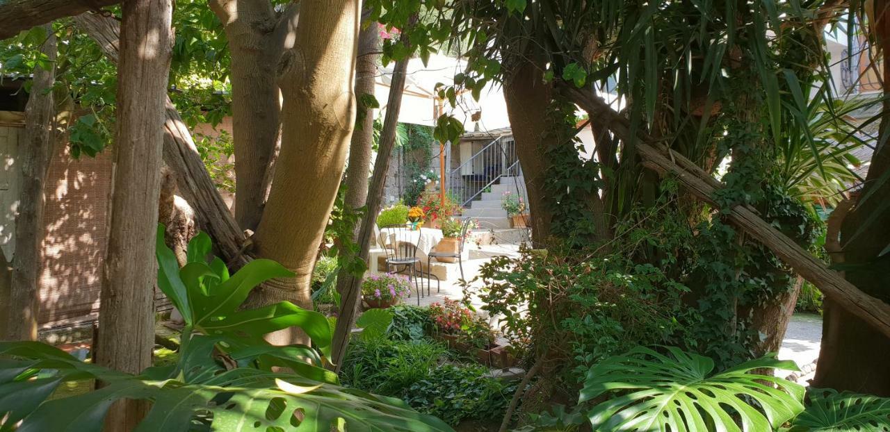Casa Carolina B&B Sorrente Extérieur photo